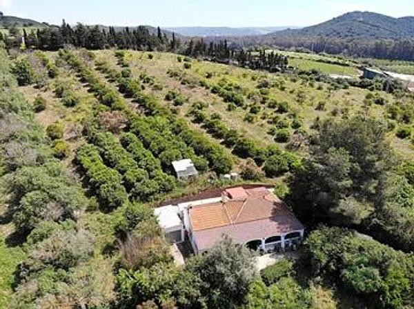 Finca rústica de 3 ha en venta en Cádiz