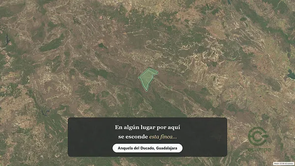 Spot image