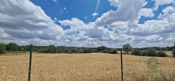 Finca rústica de 0,5703 ha en venta en Pioz, Guadalajara