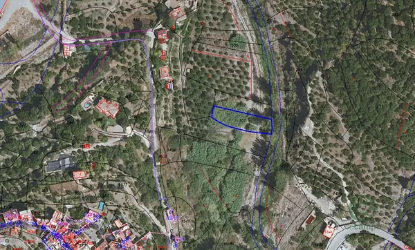 Spot image