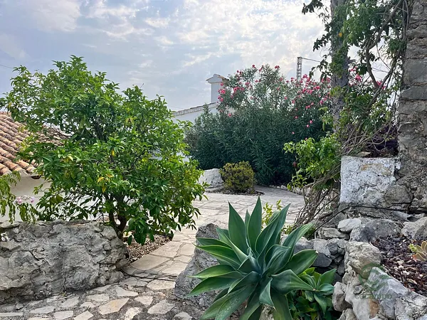 Spot image