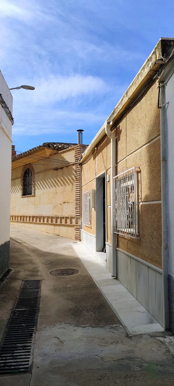 Spot image
