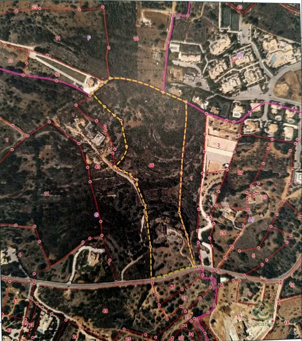 Spot image