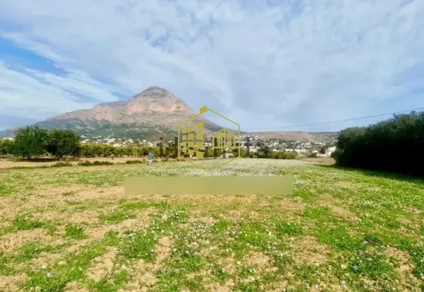Spot image