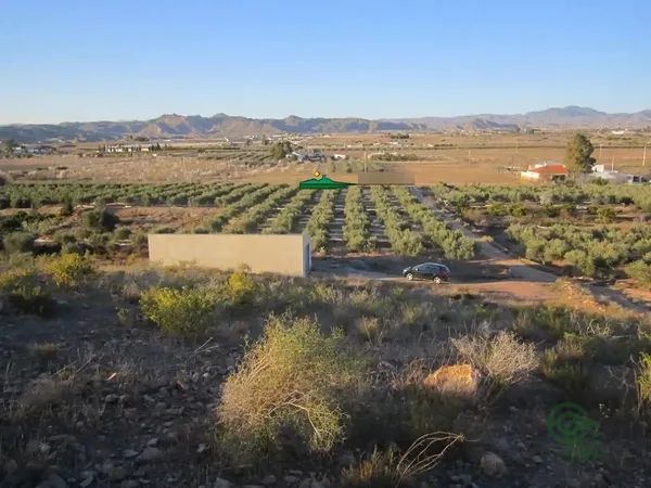 Finca rústica de 2,5 ha en venta en Huercal-overa, Almeria