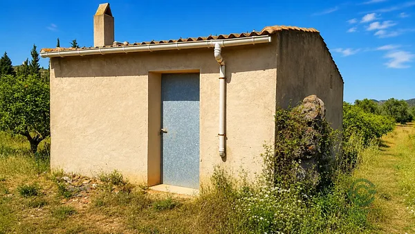 Spot image