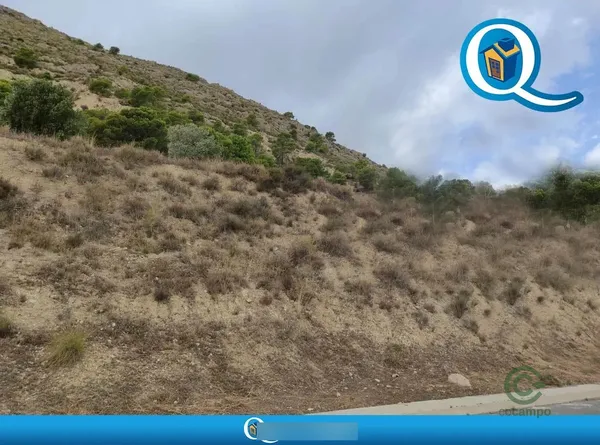 Spot image