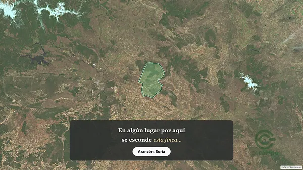 Spot image