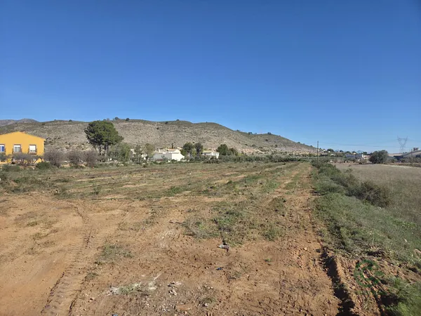 Spot image