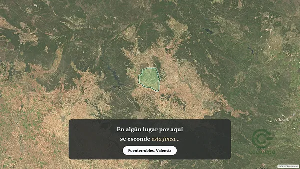 Spot image