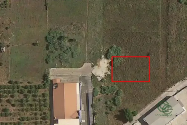 Spot image