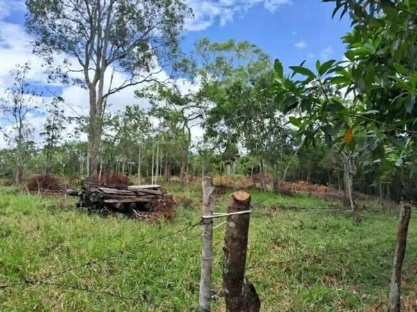 Fazenda agrícola de 27,88 ha para venda em Goiás