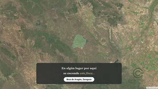 Spot image