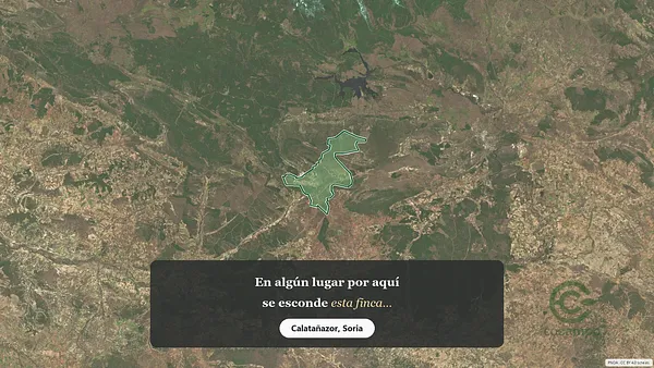 Spot image