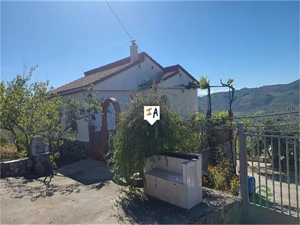 Spot image