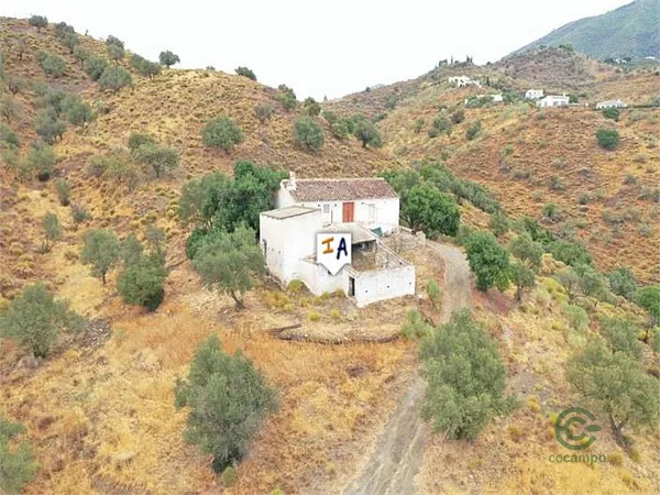 Spot image