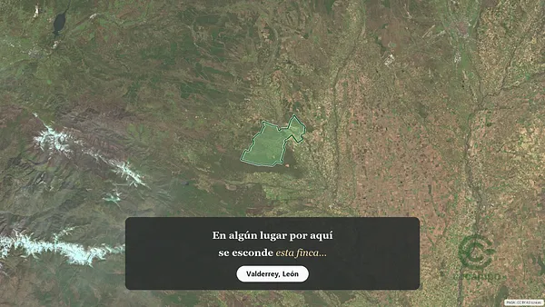 Spot image