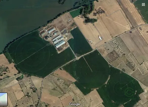 Spot image