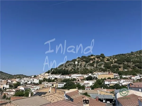 Spot image