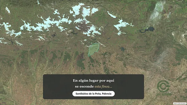Spot image