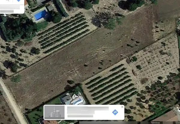 Spot image
