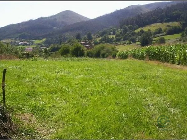 Spot image