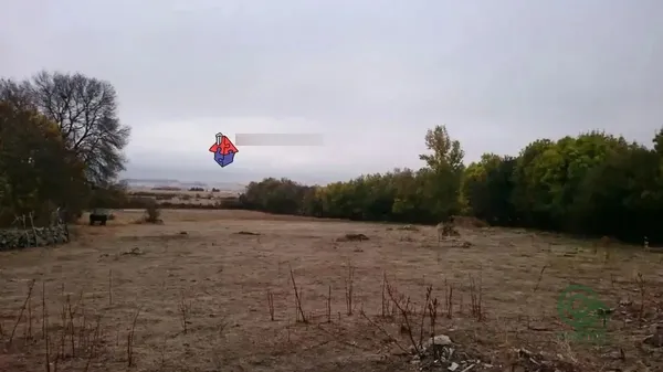Spot image