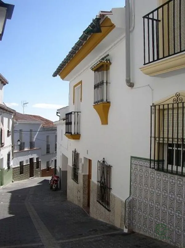 Spot image