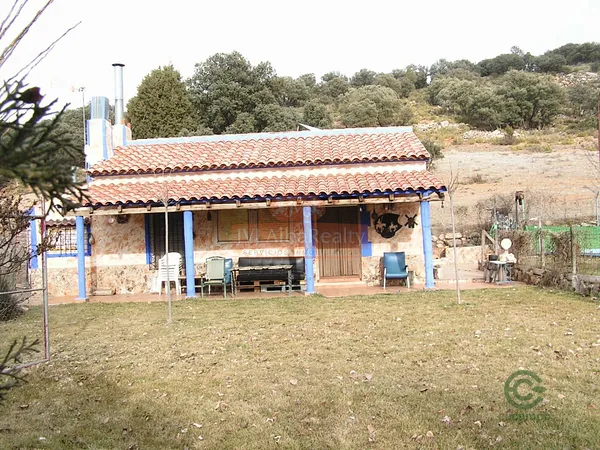 Spot image