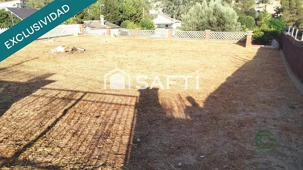 Spot image