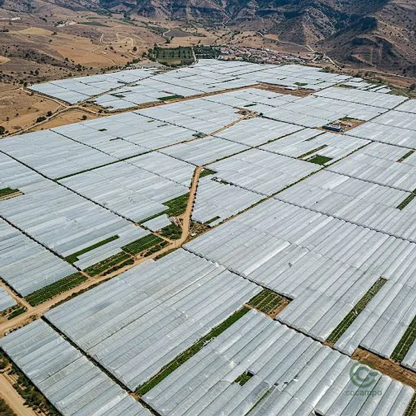 Finca rústica de 11 ha en venta en Nijar, Almeria