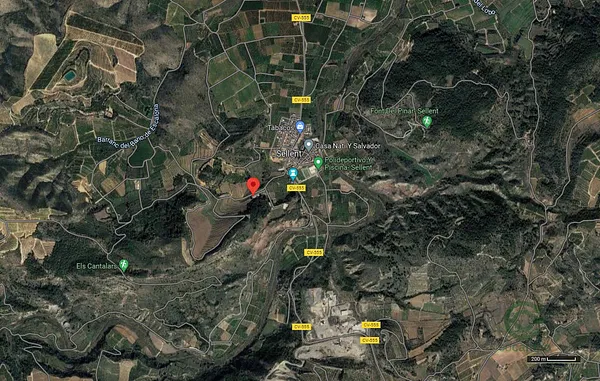 Spot image