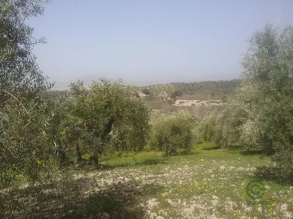 Finca agrícola de 2,1763 ha en venta en Granada, Granada