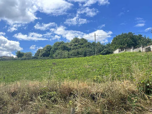 Finca rústica de 0,62 ha en venta en Chantada, Lugo