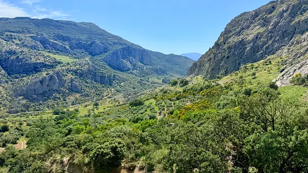Finca agrícola de 52 ha en venta en Málaga