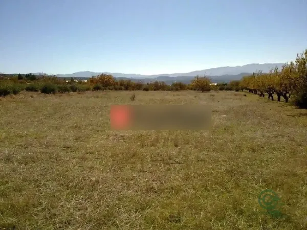 Spot image