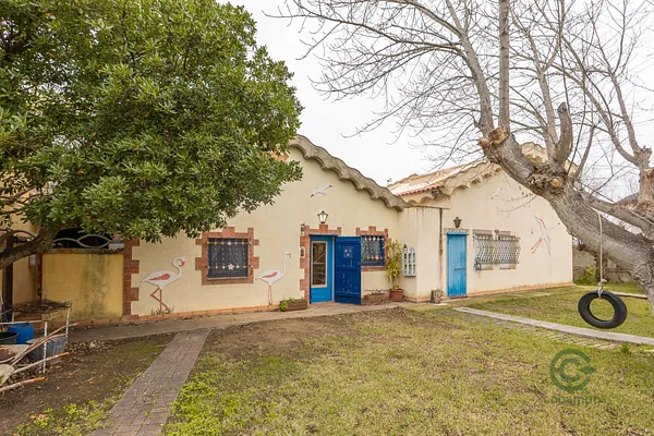 Spot image