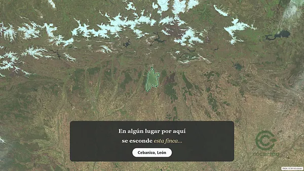 Spot image