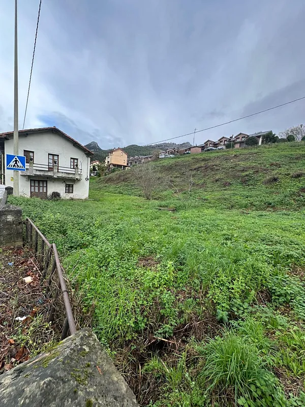 Spot image