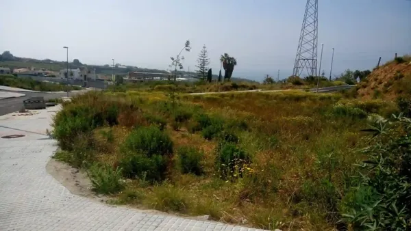 Spot image