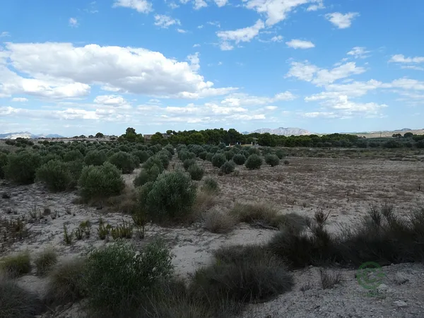 Finca agrícola de 6,2 ha en venta en Molina de segura, Murcia