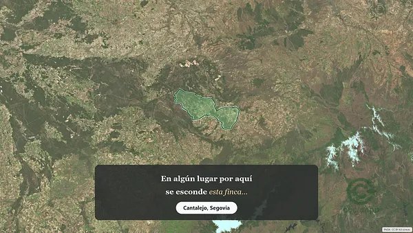 Spot image