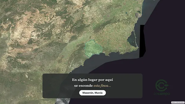 Spot image