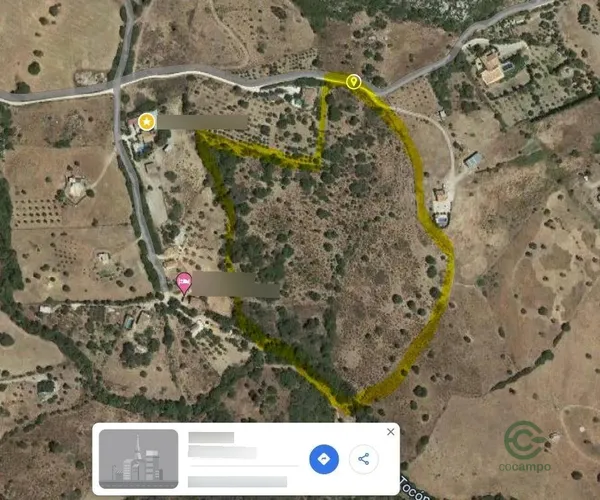Spot image