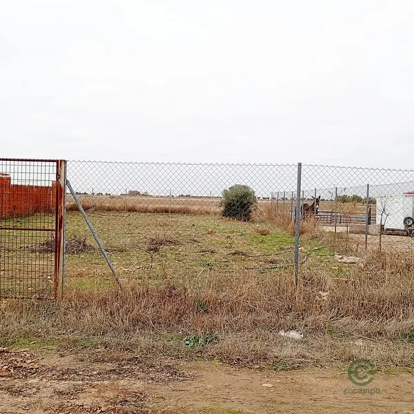 Spot image