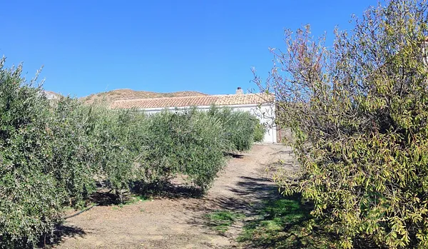 Finca agrícola de 0,61 ha en venta en Macael, Almeria