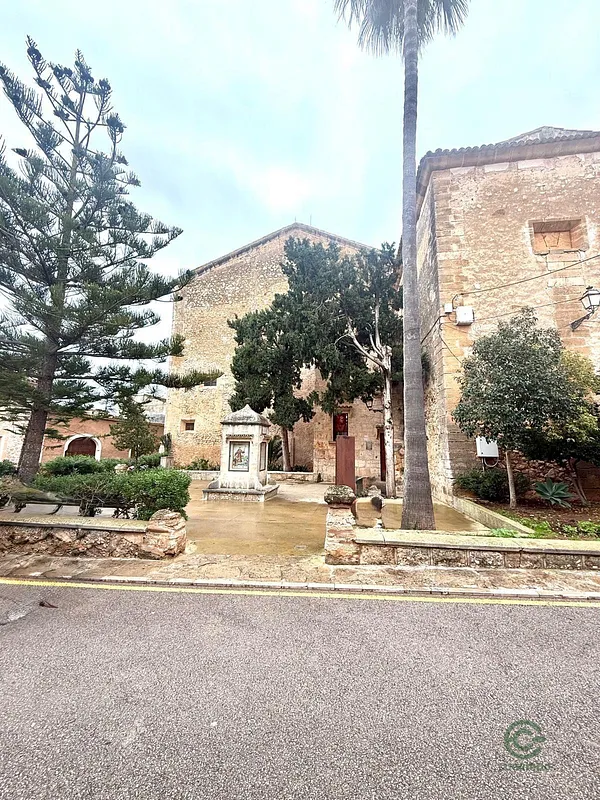 Spot image
