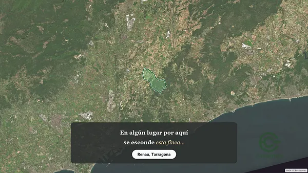Spot image