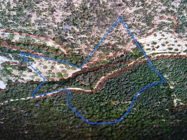Spot image