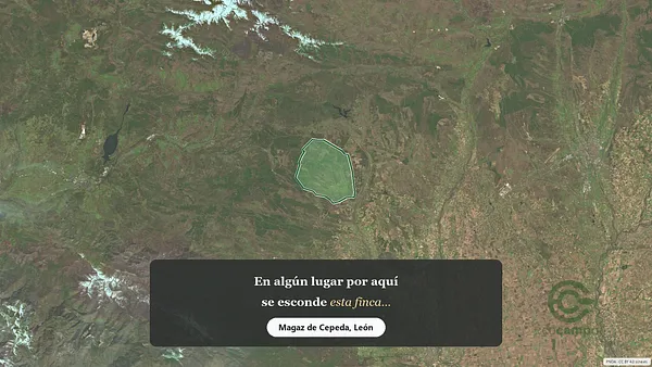 Spot image